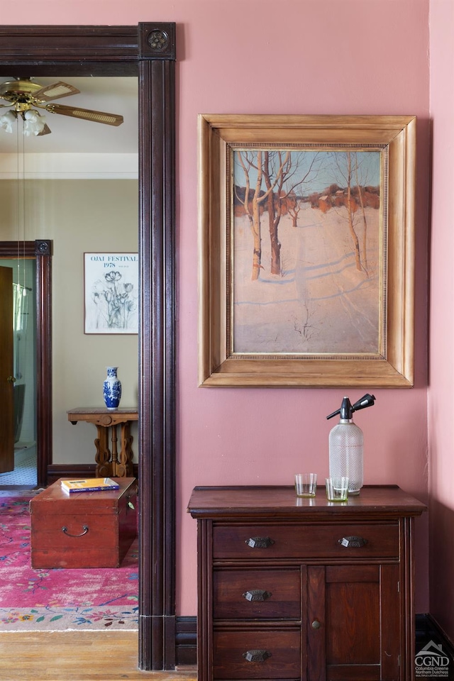 44 Worth Ave, Hudson, NY 12534 - detailed view of a ceiling fan and wood finished floors