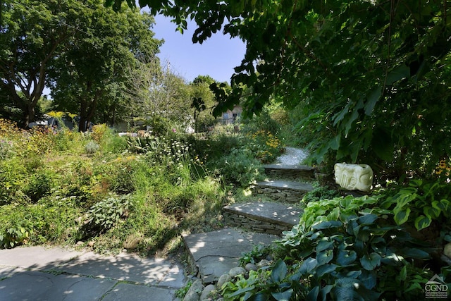 44 Worth Ave, Hudson, NY 12534 - view of yard