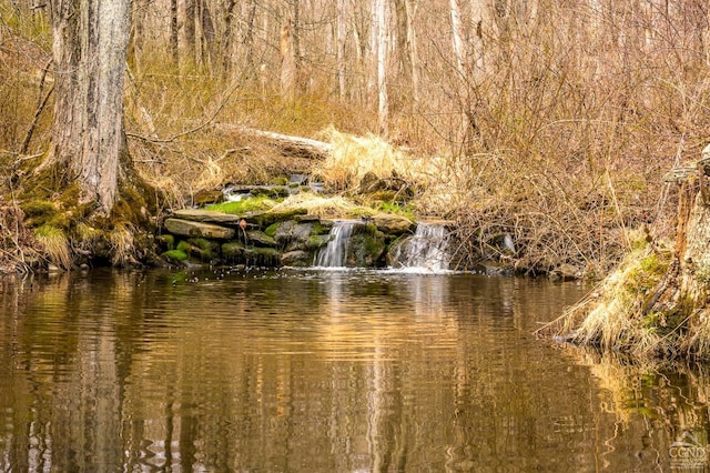 1606 Bulls Head Rd, Stanfordville, NY 12581 - water view