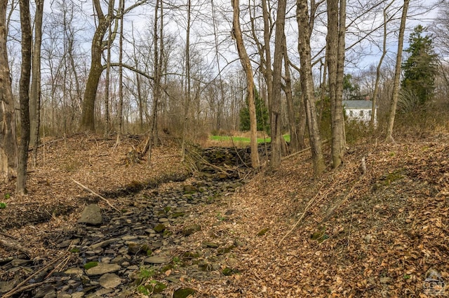 1606 Bulls Head Rd, Stanfordville, NY 12581 - view of undeveloped land