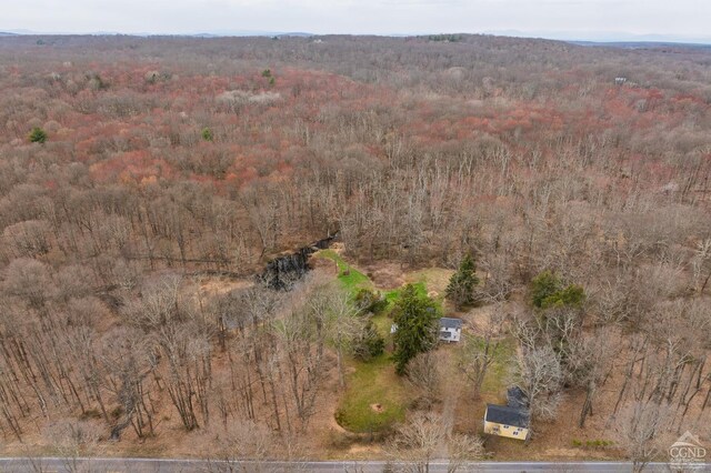 1606 Bulls Head Rd, Stanfordville, NY 12581 - view of property location with a forest