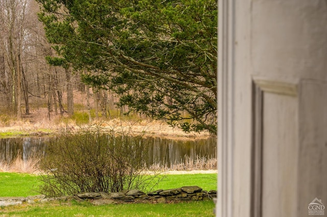 1606 Bulls Head Rd, Stanfordville, NY 12581 - water view