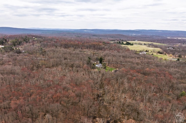1606 Bulls Head Rd, Stanfordville, NY 12581 - aerial view of property's location with a heavily wooded area