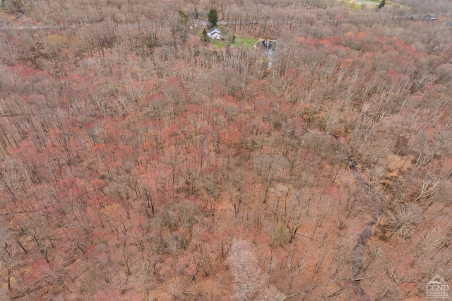 1606 Bulls Head Rd, Stanfordville, NY 12581 - aerial view of property and surrounding area