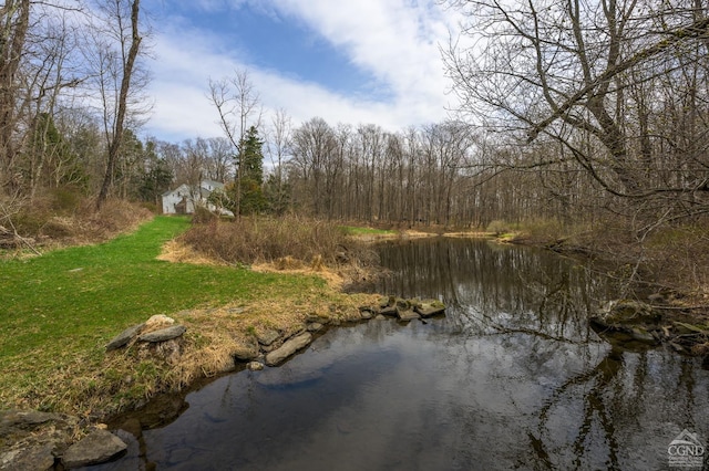1606 Bulls Head Rd, Stanfordville, NY 12581 - water view