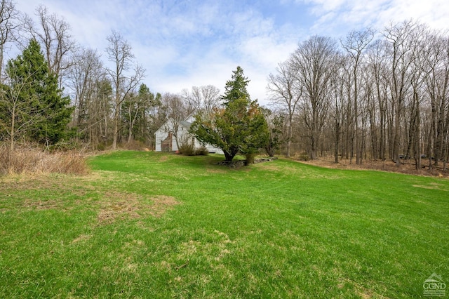 1606 Bulls Head Rd, Stanfordville, NY 12581 - view of grassy yard