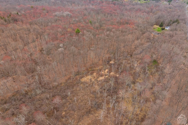 1606 Bulls Head Rd, Stanfordville, NY 12581 - aerial view of property's location with a heavily wooded area