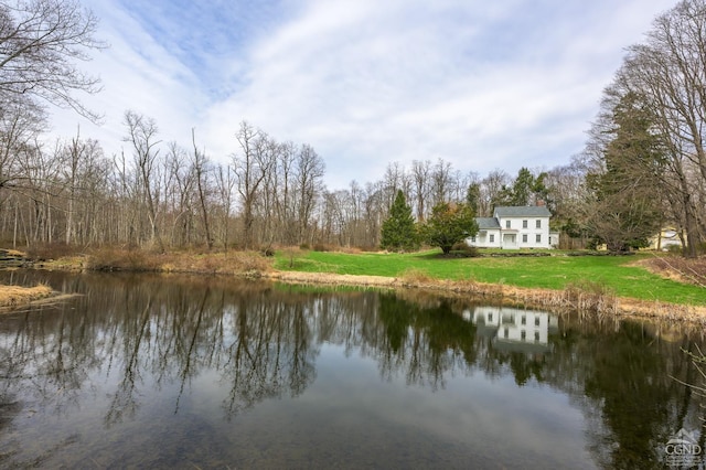 1606 Bulls Head Rd, Stanfordville, NY 12581 - water view