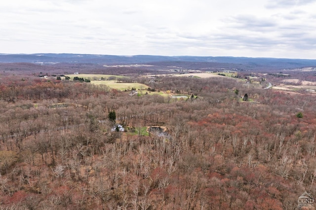 1606 Bulls Head Rd, Stanfordville, NY 12581 - aerial overview of property's location