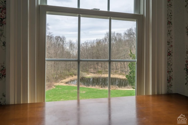 1606 Bulls Head Rd, Stanfordville, NY 12581 - detailed view of a water view