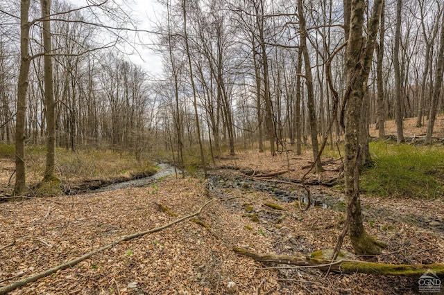 1606 Bulls Head Rd, Stanfordville, NY 12581 - view of wooded area