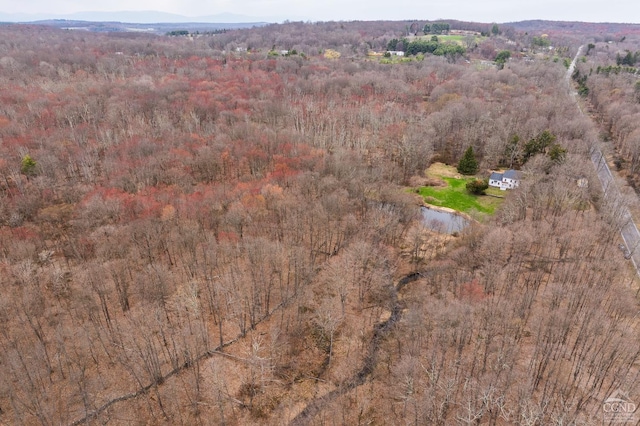 1606 Bulls Head Rd, Stanfordville, NY 12581 - view of property location featuring a forest