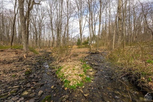 1606 Bulls Head Rd, Stanfordville, NY 12581 - view of local wilderness