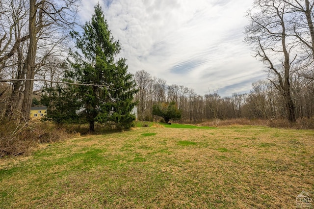 1606 Bulls Head Rd, Stanfordville, NY 12581 - view of green lawn
