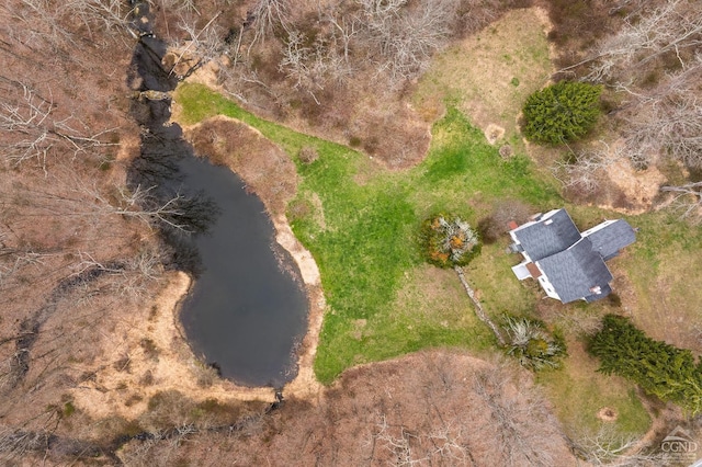 1606 Bulls Head Rd, Stanfordville, NY 12581 - bird's eye view