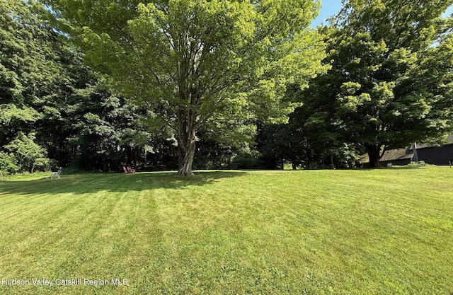 105 S Nellie Hill Rd, Dover Plains, NY 12522 - photo 3