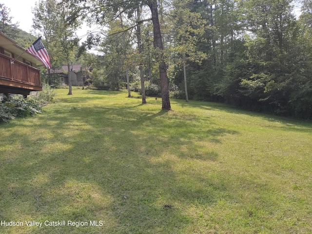 view of yard featuring a wooden deck