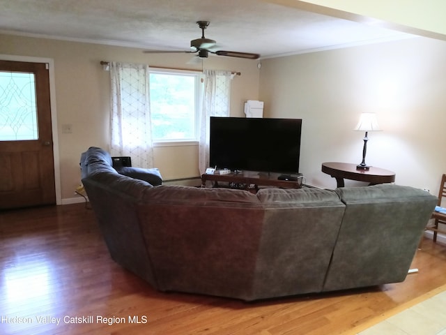 living room with hardwood / wood-style floors, ceiling fan, and ornamental molding