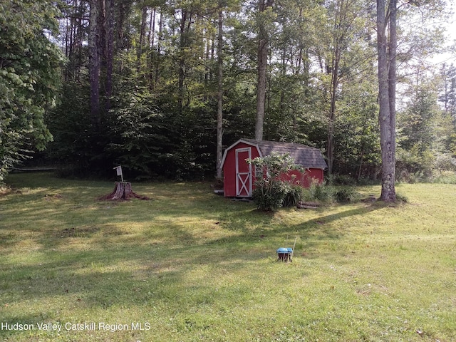 view of yard with a storage shed