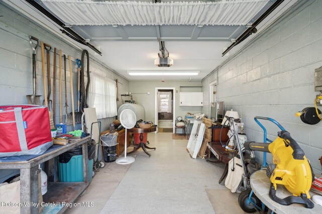4 Schuler Ln, Lake Katrine, NY 12449 - garage with a garage door opener and concrete block wall