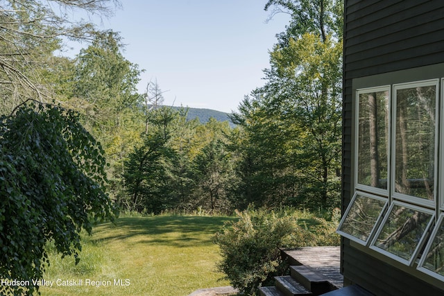 109 The Middle Way, Mount Tremper, NY 12457 - photo 51