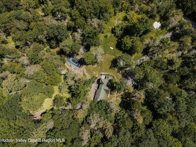 109 The Middle Way, Mount Tremper, NY 12457 - photo 59