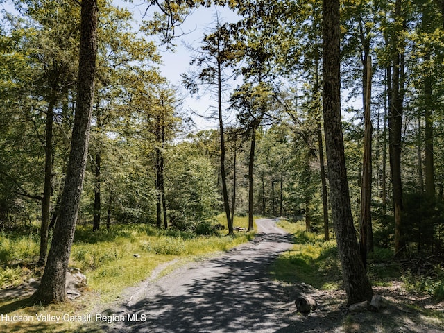 109 The Middle Way, Mount Tremper, NY 12457 - photo 52