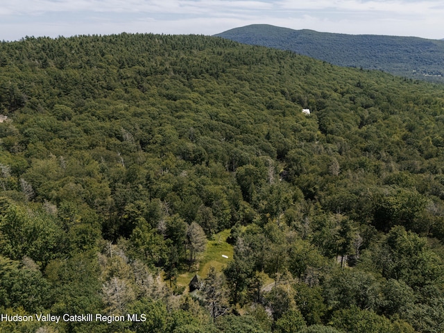 109 The Middle Way, Mount Tremper, NY 12457 - photo 58