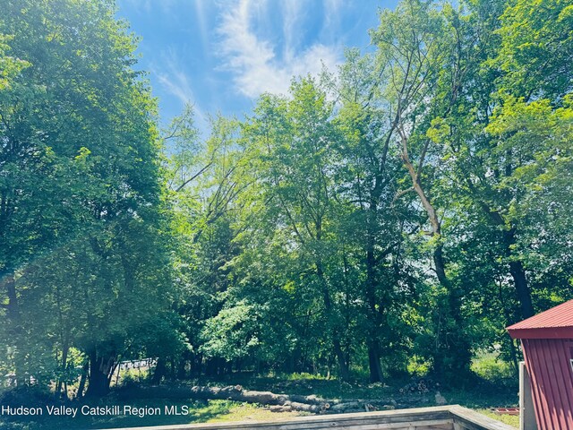 30 Chatham St, Nassau, NY 12123 - photo 19