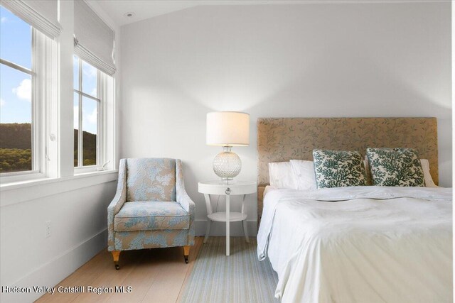150 Harrington Dr, Austerlitz, NY 12017 - photo 39