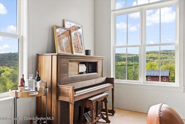 150 Harrington Dr, Austerlitz, NY 12017 - photo 18