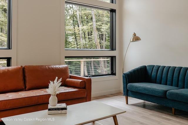 living room with a healthy amount of sunlight and light hardwood / wood-style flooring