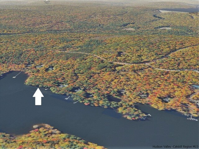LOT8 Woodstone Trl, White Lake, NY 12786 - photo 22