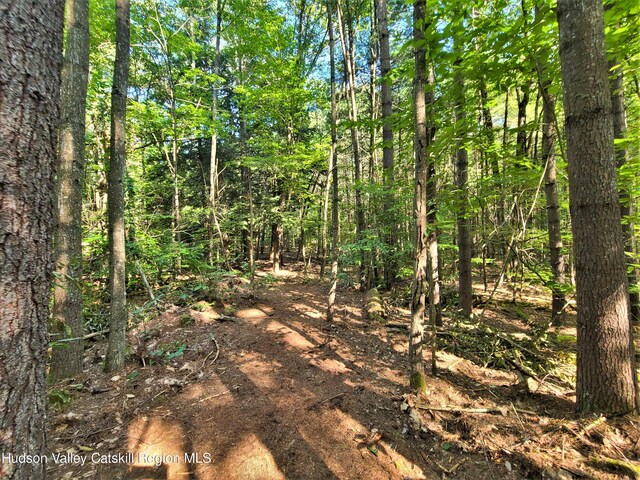 LOT8 Woodstone Trl, White Lake, NY 12786 - photo 30