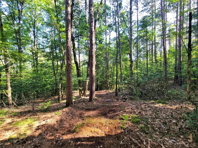 LOT8 Woodstone Trl, White Lake, NY 12786 - photo 16