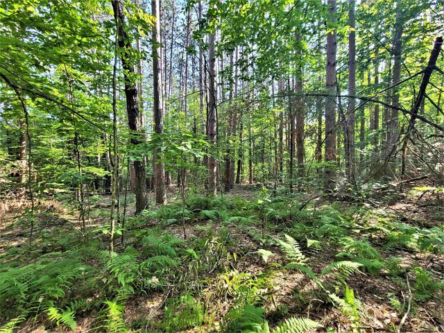 LOT8 Woodstone Trl, White Lake, NY 12786 - photo 15
