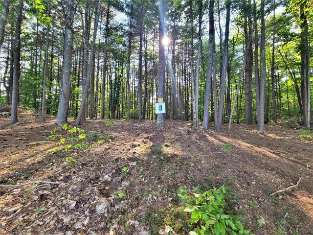 LOT8 Woodstone Trl, White Lake, NY 12786 - photo 20