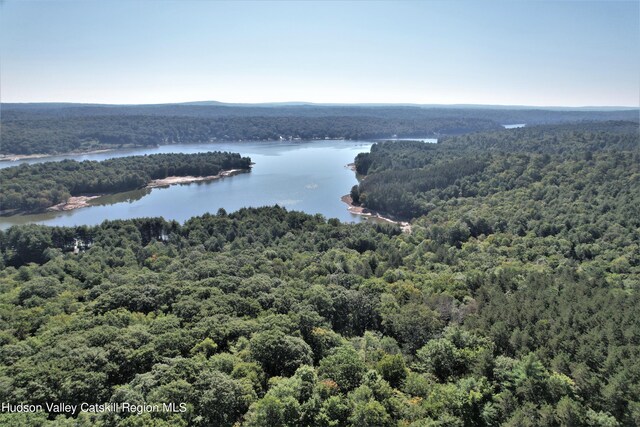 LOT8 Woodstone Trl, White Lake, NY 12786 - photo 3