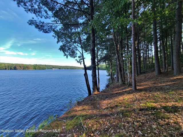 LOT8 Woodstone Trl, White Lake, NY 12786 - photo 6