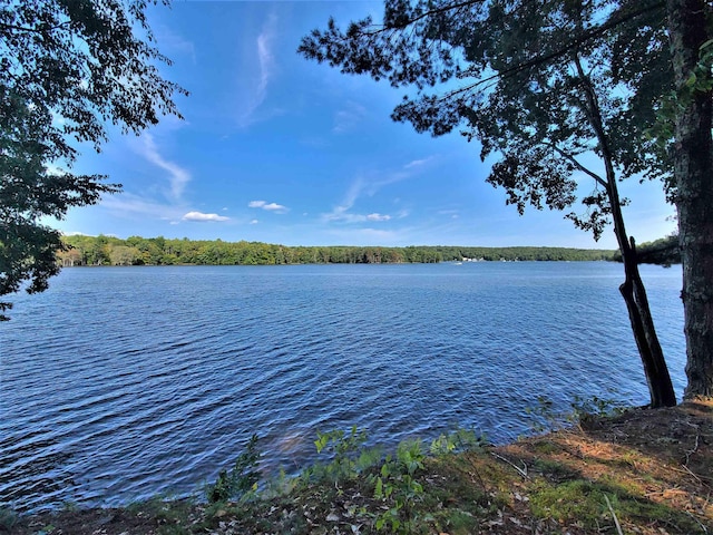 LOT8 Woodstone Trl, White Lake, NY 12786 - photo 1