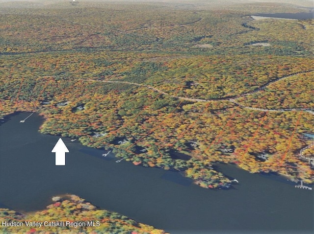 LOT8 Woodstone Trl, White Lake, NY 12786 - photo 32