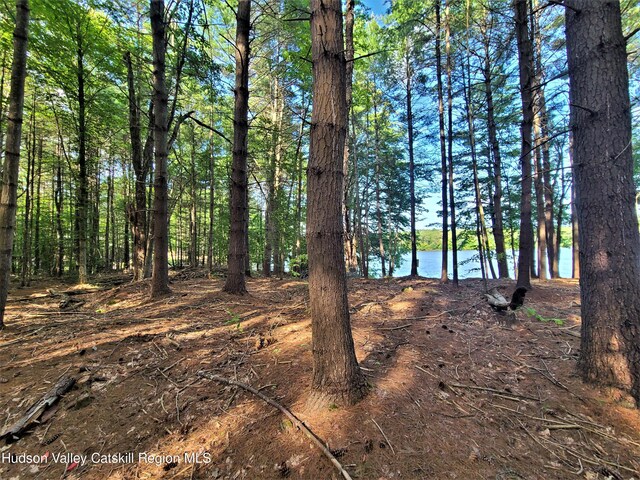 LOT8 Woodstone Trl, White Lake, NY 12786 - photo 13