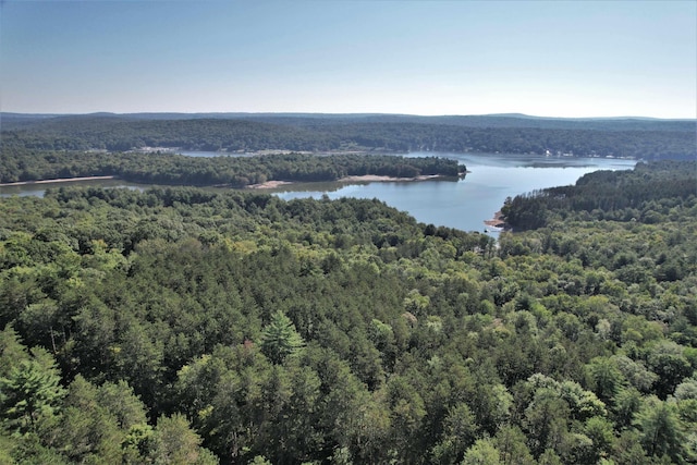 LOT8 Woodstone Trl, White Lake, NY 12786 - photo 34