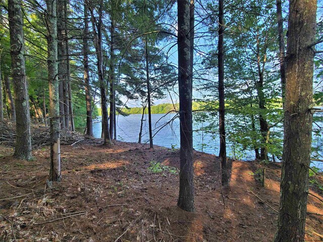 LOT8 Woodstone Trl, White Lake, NY 12786 - photo 11