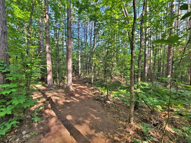 LOT8 Woodstone Trl, White Lake, NY 12786 - photo 14