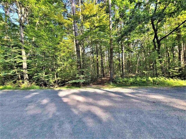 LOT8 Woodstone Trl, White Lake, NY 12786 - photo 31