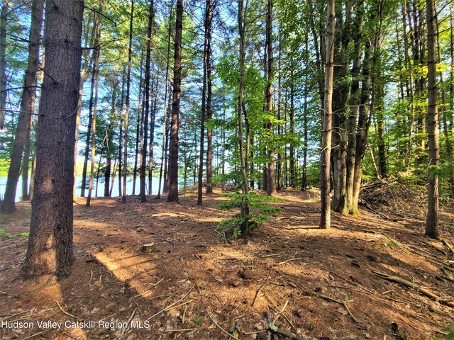 LOT8 Woodstone Trl, White Lake, NY 12786 - photo 28