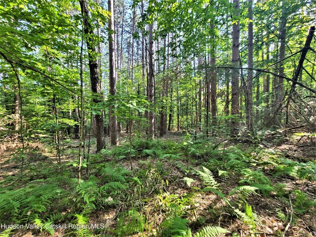 LOT8 Woodstone Trl, White Lake, NY 12786 - photo 29