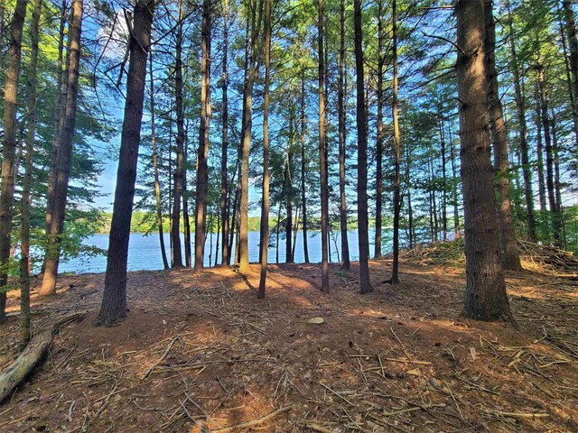 LOT8 Woodstone Trl, White Lake, NY 12786 - photo 12