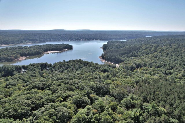LOT8 Woodstone Trl, White Lake, NY 12786 - photo 24
